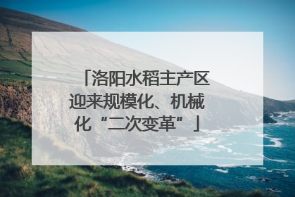 洛阳水稻主产区迎来规模化、机械化“二次变革”