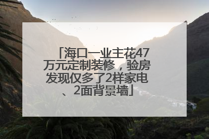 海口一业主花47万元定制装修，验房发现仅多了2样家电、2面背景墙