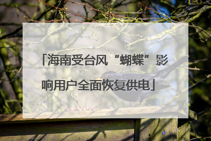 海南受台风“蝴蝶”影响用户全面恢复供电