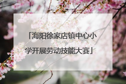 海阳徐家店镇中心小学开展劳动技能大赛