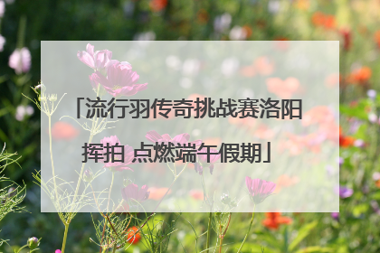 流行羽传奇挑战赛洛阳挥拍 点燃端午假期
