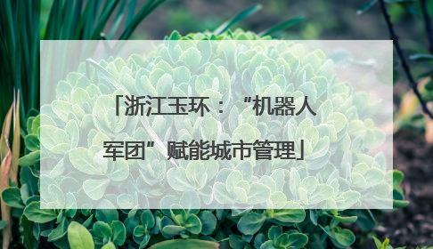 浙江玉环：“机器人军团”赋能城市管理