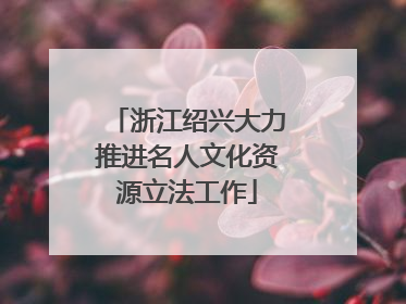 浙江绍兴大力推进名人文化资源立法工作