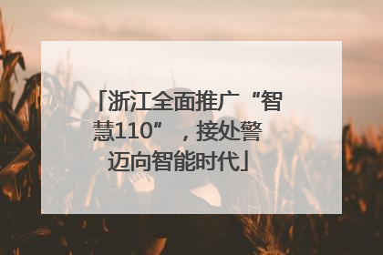 浙江全面推广“智慧110”，接处警迈向智能时代