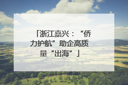 浙江嘉兴：“侨力护航”助企高质量“出海”