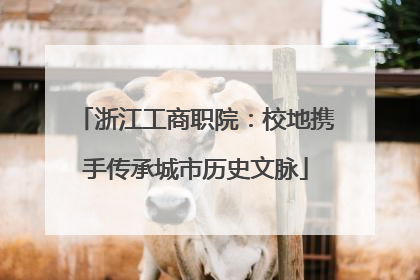 浙江工商职院：校地携手传承城市历史文脉
