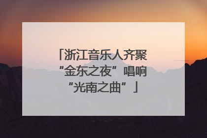 浙江音乐人齐聚“金东之夜”唱响“光南之曲”