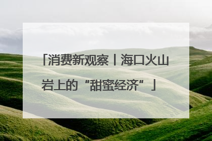 消费新观察丨海口火山岩上的“甜蜜经济”