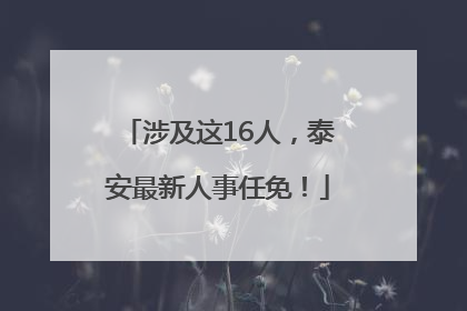 涉及这16人，泰安最新人事任免！