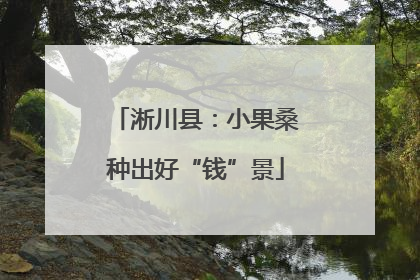 淅川县：小果桑种出好“钱”景