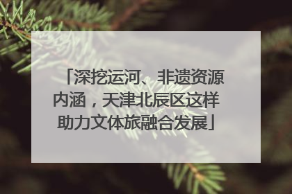 深挖运河、非遗资源内涵，天津北辰区这样助力文体旅融合发展