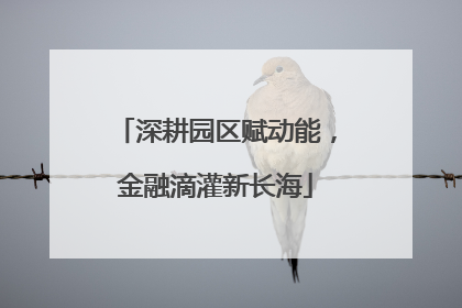 深耕园区赋动能，金融滴灌新长海