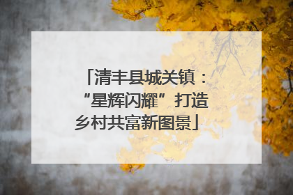 清丰县城关镇：“星辉闪耀”打造乡村共富新图景