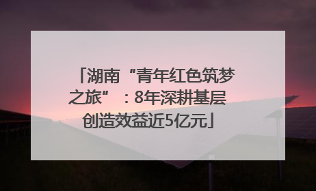 湖南“青年红色筑梦之旅”：8年深耕基层创造效益近5亿元