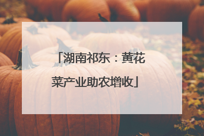 湖南祁东：黄花菜产业助农增收