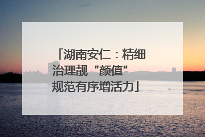 湖南安仁：精细治理靓“颜值” 规范有序增活力