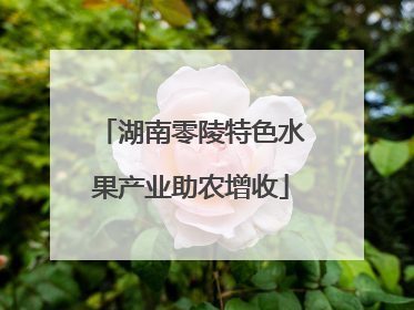 湖南零陵特色水果产业助农增收