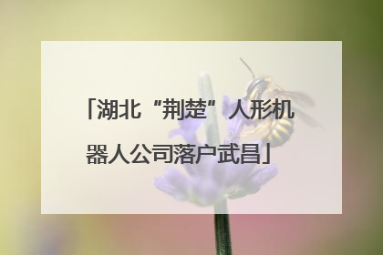 湖北“荆楚”人形机器人公司落户武昌