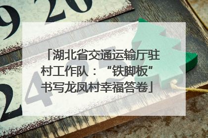 湖北省交通运输厅驻村工作队：“铁脚板”书写龙凤村幸福答卷
