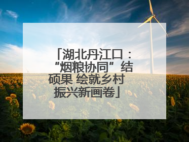 湖北丹江口：“烟粮协同”结硕果 绘就乡村振兴新画卷