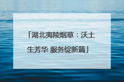 湖北夷陵烟草：沃土生芳华 服务绽新篇