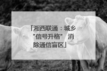 湘西联通：城乡“信号升格” 消除通信盲区