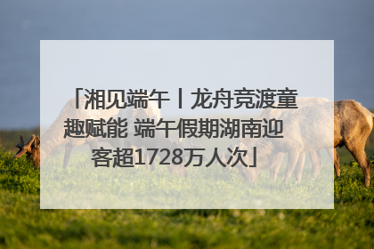 湘见端午丨龙舟竞渡童趣赋能 端午假期湖南迎客超1728万人次