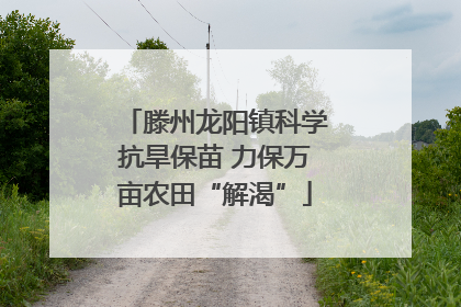 滕州龙阳镇科学抗旱保苗 力保万亩农田“解渴”