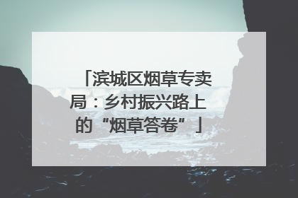 滨城区烟草专卖局：乡村振兴路上的“烟草答卷”