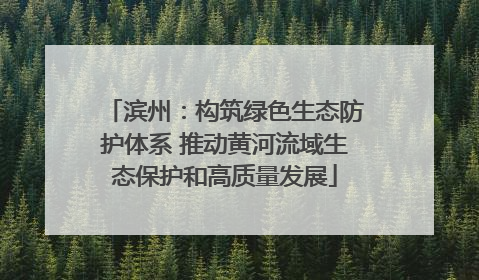 滨州：构筑绿色生态防护体系 推动黄河流域生态保护和高质量发展