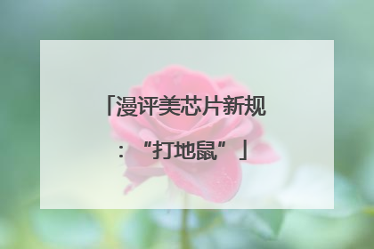 漫评美芯片新规：“打地鼠”