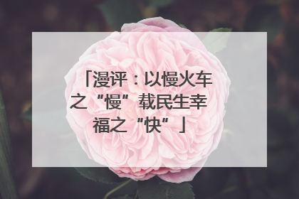 漫评：以慢火车之“慢”载民生幸福之“快”