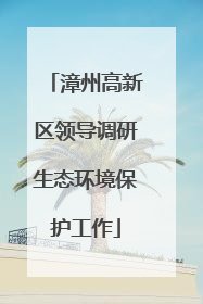 漳州高新区领导调研生态环境保护工作