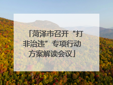 菏泽市召开“打非治违”专项行动方案解读会议