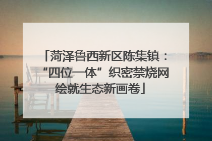菏泽鲁西新区陈集镇：“四位一体”织密禁烧网 绘就生态新画卷