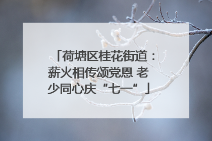 荷塘区桂花街道：薪火相传颂党恩 老少同心庆“七一”