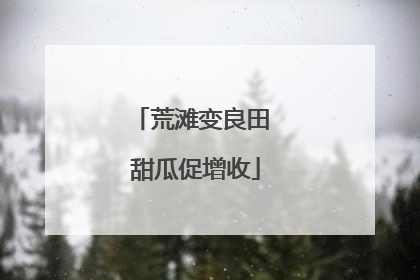 荒滩变良田 甜瓜促增收