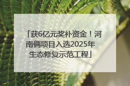 获6亿元奖补资金！河南俩项目入选2025年生态修复示范工程