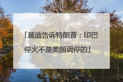 莫迪告诉特朗普：印巴停火不是美国调停的