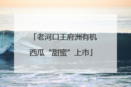 老河口王府洲有机西瓜“甜蜜”上市
