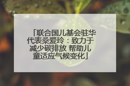 联合国儿基会驻华代表桑爱玲：致力于减少碳排放 帮助儿童适应气候变化