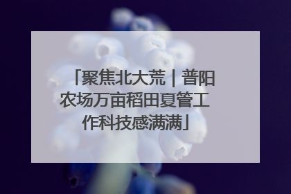 聚焦北大荒｜普阳农场万亩稻田夏管工作科技感满满