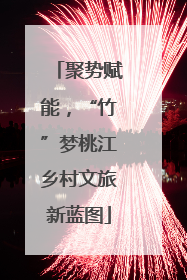 聚势赋能，“竹”梦桃江乡村文旅新蓝图