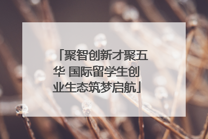 聚智创新才聚五华 国际留学生创业生态筑梦启航