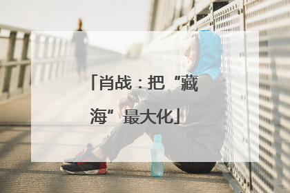 肖战：把“藏海”最大化