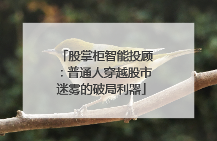 股掌柜智能投顾：普通人穿越股市迷雾的破局利器