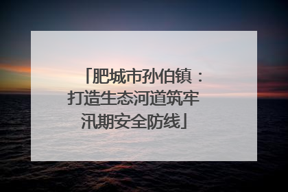 肥城市孙伯镇：打造生态河道筑牢汛期安全防线