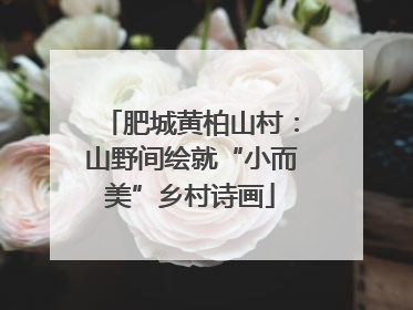 肥城黄柏山村：山野间绘就“小而美”乡村诗画