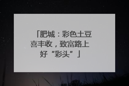 肥城：彩色土豆喜丰收，致富路上好“彩头”