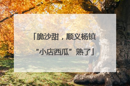 脆沙甜，顺义杨镇“小店西瓜”熟了